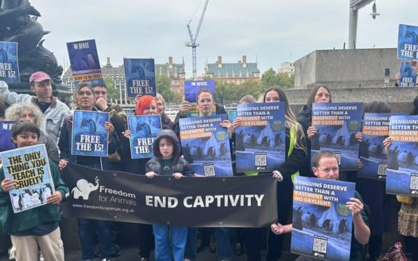 Celebrity Protest to ‘Free the Fifteen’ Captures Hearts and Headlines