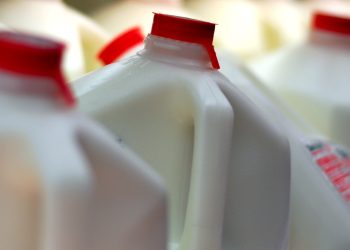 Dietary Choices And Farmed Animal Welfare Policy Preferences