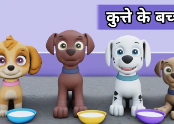 Dog Cartoon | Cartoon Video | Dog Videos | Cartoon | Cartoon Cartoon | Dog
