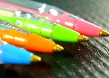 “From Shelter to Forever Home: The Benefits of Adopting a Puppy”