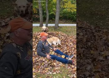 Grandpa Makes Dog So Happy 🐶❤️
