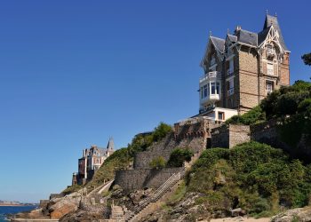 How Puppies Can Help Reduce Stress and Anxiety