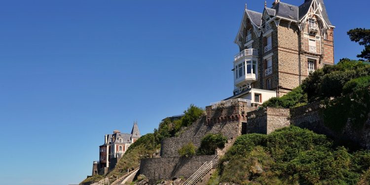 How Puppies Can Help Reduce Stress and Anxiety