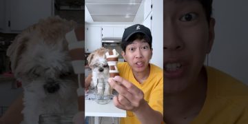 MAKE MY DOG HAPPY MAKE MY DOG HAPPY