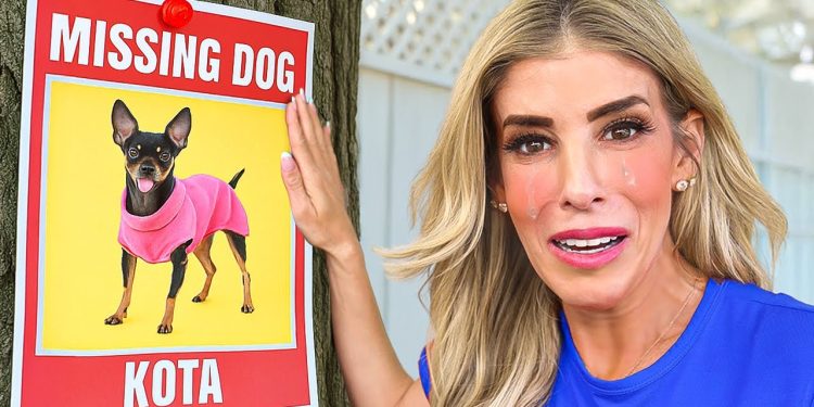 My Dog is Missing My Dog is Missing