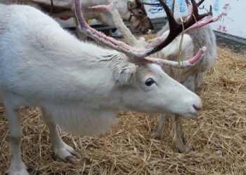 Our 2025 Festive Campaign Launches Today!