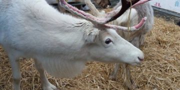 Our 2025 Festive Campaign Launches Today! Our 2025 Festive Campaign Launches Today!