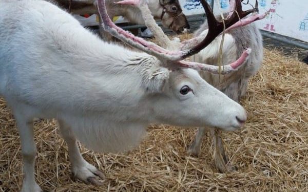 Our 2025 Festive Campaign Launches Today!