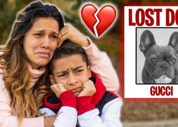 Our DOG IS MISSING!! HELP US FIND HIM.. | The Royalty Family