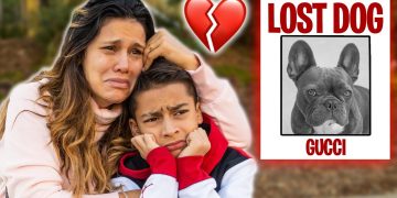 Our DOG IS MISSING!! HELP US FIND HIM.. | The Royalty Family