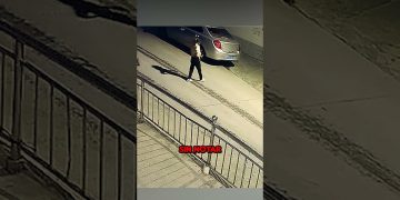 Perro presiente peligro antes de que ataquen a su dueña #perro #perros #dog #animals