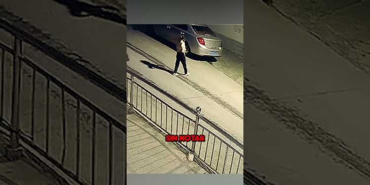 Perro presiente peligro antes de que ataquen a su dueña #perro #perros #dog #animals