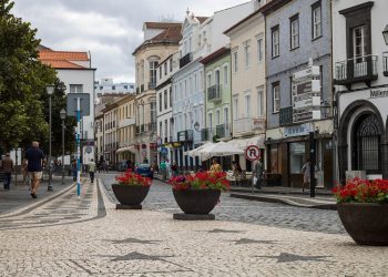 “Puppy Training 101: Tips for a Happy and Well-Behaved Pup”