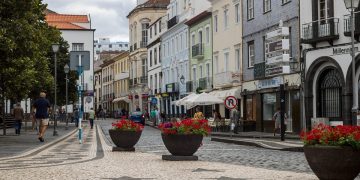 “Puppy Training 101: Tips for a Happy and Well-Behaved Pup”