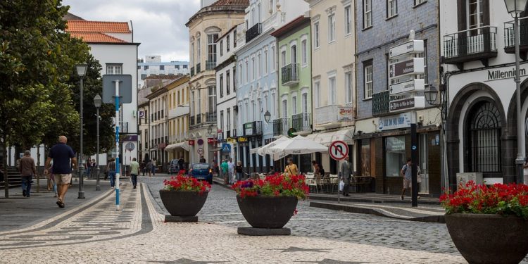 “Puppy Training 101: Tips for a Happy and Well-Behaved Pup”