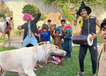 Qasai Sy Bully Dog Ly Aiy Zoo 😍