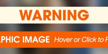 Rescued Dog Peppermint Won the Lottery with His New Family!