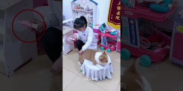Smart Dog Helped Owner be Doctor😊