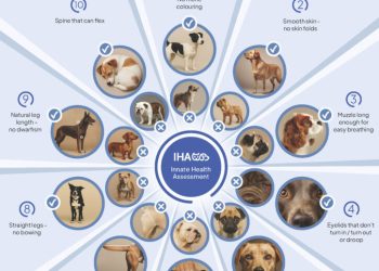 The innate health assessment tool