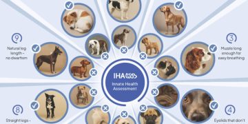 The innate health assessment tool The innate health assessment tool