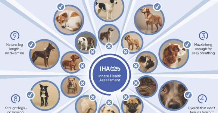 The innate health assessment tool The innate health assessment tool