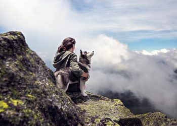 Unleash Your Dog’s Potential: Tips for Training a Happy, Healthy Pup