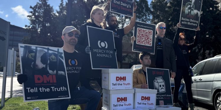 Unmasking Dairy Deception: 37,000+ Voices Demand Transparency