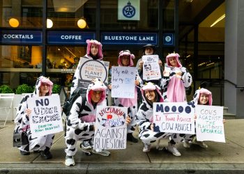 A Year of Progress for Animals Powered by You!