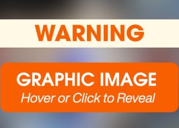 After Recovering from a Horrific Neck Wound, Potato Puts His Past Behind Him