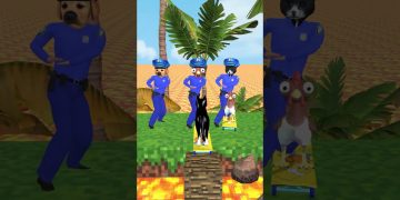 Chicken cute, Cat cute Vs Dog cute? Which animal can brave skateboard trial in the broken bridge?