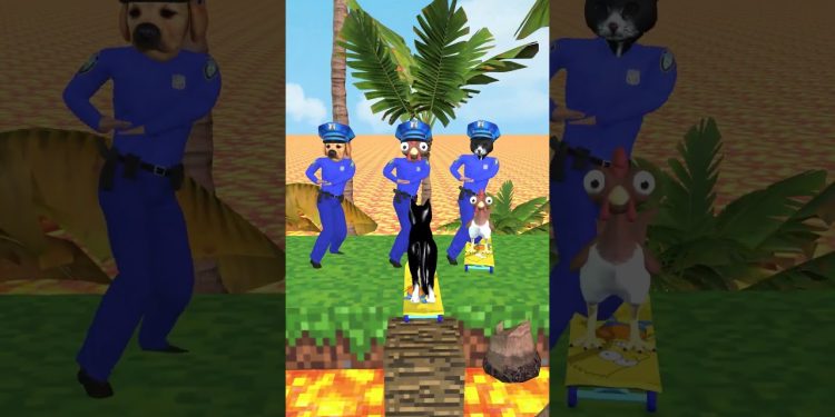 Chicken cute, Cat cute Vs Dog cute? Which animal can brave skateboard trial in the broken bridge?