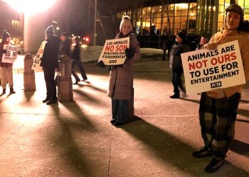Denial on Display at Bull Riding Event
