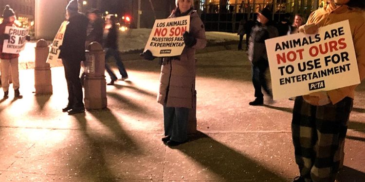 Denial on Display at Bull Riding Event Denial on Display at Bull Riding Event