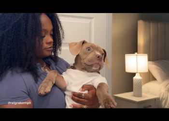 Dog Morning Routine, Coconut Oil Rub Down and Breakfast