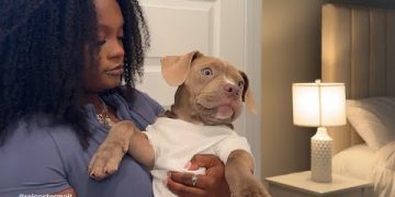 Dog Morning Routine, Coconut Oil Rub Down and Breakfast