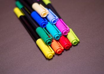 Falling for Fur: The Joys and Challenges of Puppy Love