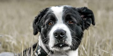 Feel free to mix and match phrases or adapt them to fit your specific focus!