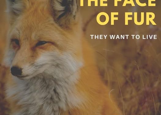 Fri, Nov 28, 2025 – Fur Free Friday — New Hampshire Animal Rights League