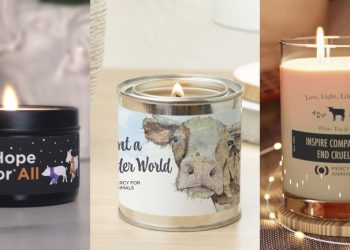 Mercy For Animals’ Black Friday Sale 