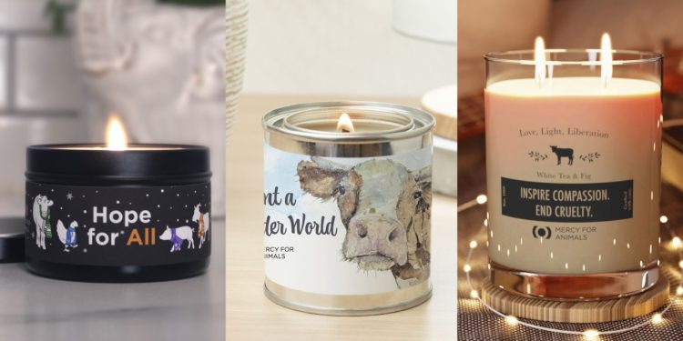 Mercy For Animals’ Black Friday Sale 