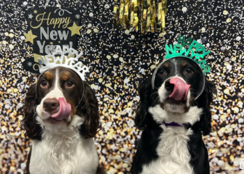 New Year’s Resolutions You and Your Dog Can Both Enjoy