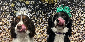 New Year’s Resolutions You and Your Dog Can Both Enjoy