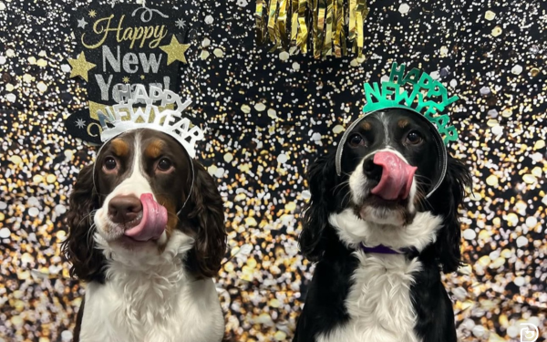 New Year’s Resolutions You and Your Dog Can Both Enjoy