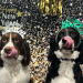 New Year’s Resolutions You and Your Dog Can Both Enjoy