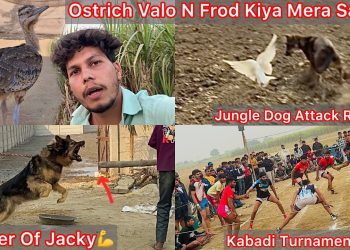 Ostrich Valo N Mera Sath Scam Kiya😡 Jungle Dog N Raftar Ko Pkda😨 Gaon Mai Hui Kabadi Turnament💪