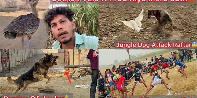 Ostrich Valo N Mera Sath Scam Kiya😡 Jungle Dog N Raftar Ko Pkda😨 Gaon Mai Hui Kabadi Turnament💪 Ostrich Valo N Mera Sath Scam Kiya😡 Jungle Dog N Raftar Ko Pkda😨 Gaon Mai Hui Kabadi Turnament💪
