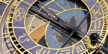 Puppy Love: A Bond That Transcends Species