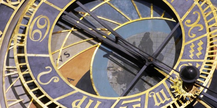 Puppy Love: A Bond That Transcends Species