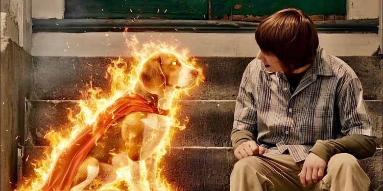 Superpower Wala Fire Dog! Ladke Ne Jo Dekha Usne Pure Shehar Ko Hairaan Kar Diya 🔥🐶