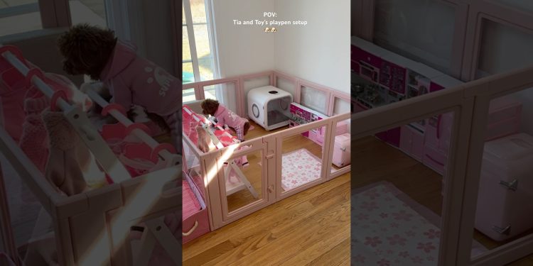 Tia and Toy’s playpen setup 🐶🐶 #dog #puppy #viral #funny #funnyvideo #asmrsounds #shorts